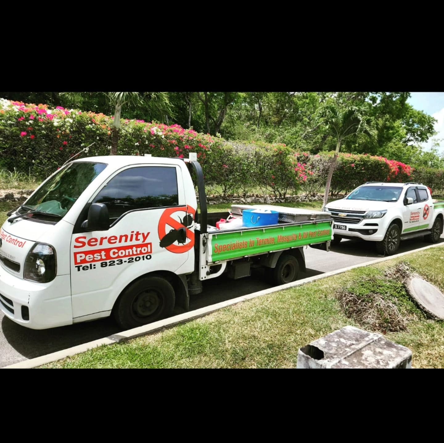 Serenity Pest Control team providing professional service in Barbados